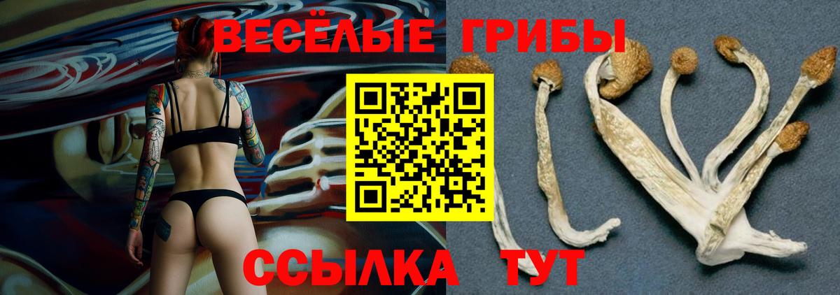 Галлюциногенные грибы GOLDEN TEACHER  Вход с VPN  Карталы 